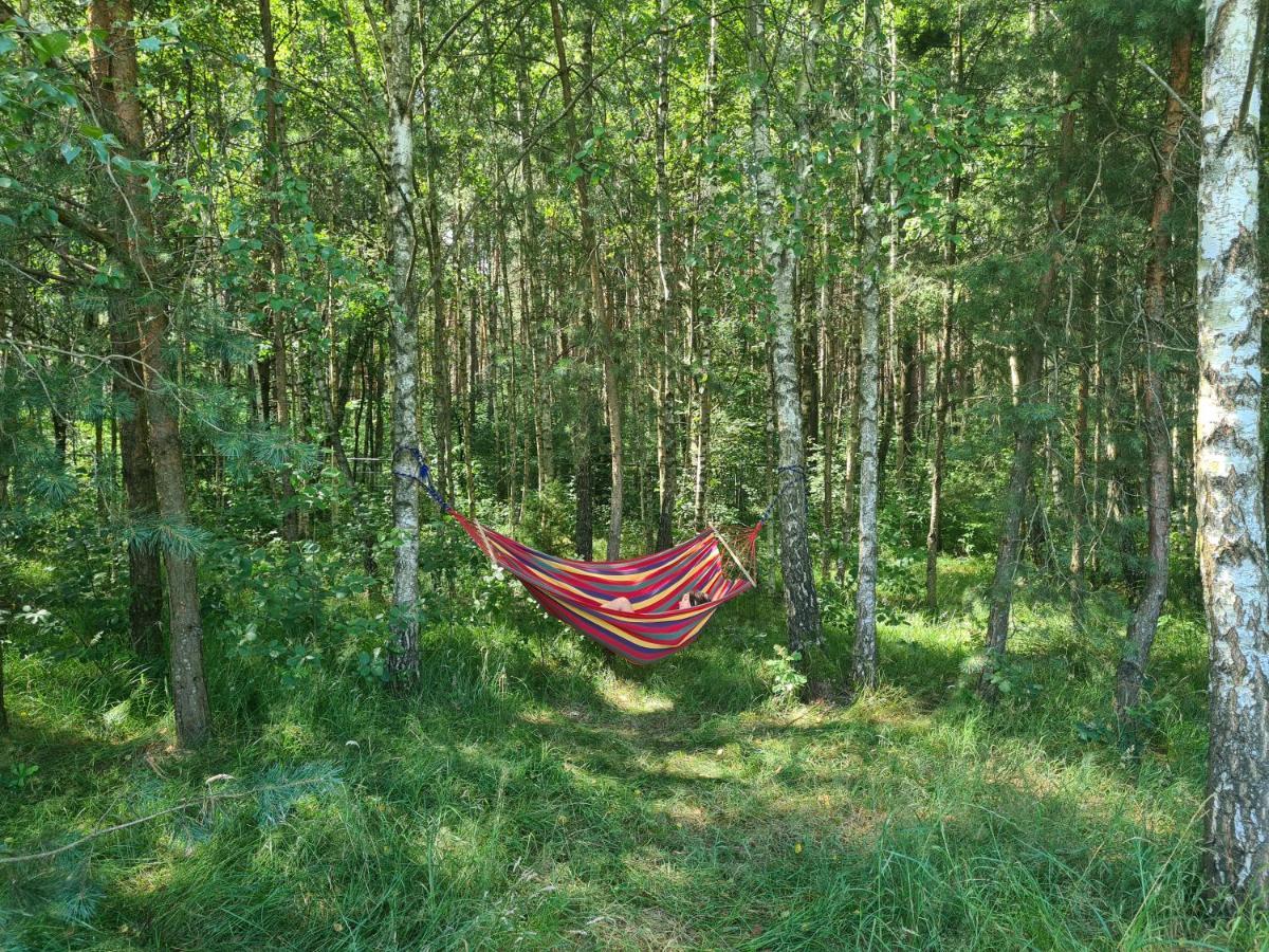 Dworek Ogrodniki, Caloroczny Dom Na Wylacznosc, Basen, Sauna, Las, Staw Rybny, Altana Grillowa, Ognisko, Pianino, Kominek, Piec Chlebowy, Duza Ogrodzona Posesja Tuczna Esterno foto