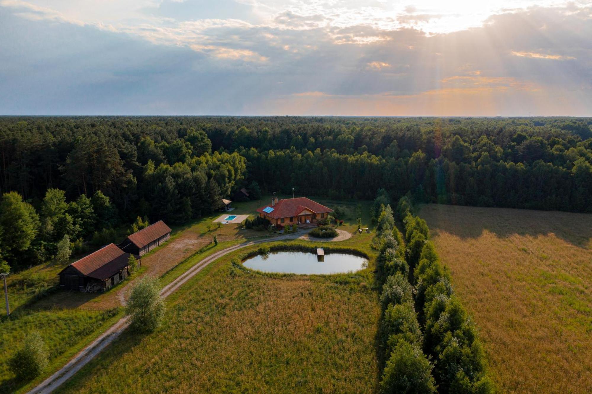 Dworek Ogrodniki, Caloroczny Dom Na Wylacznosc, Basen, Sauna, Las, Staw Rybny, Altana Grillowa, Ognisko, Pianino, Kominek, Piec Chlebowy, Duza Ogrodzona Posesja Tuczna Esterno foto