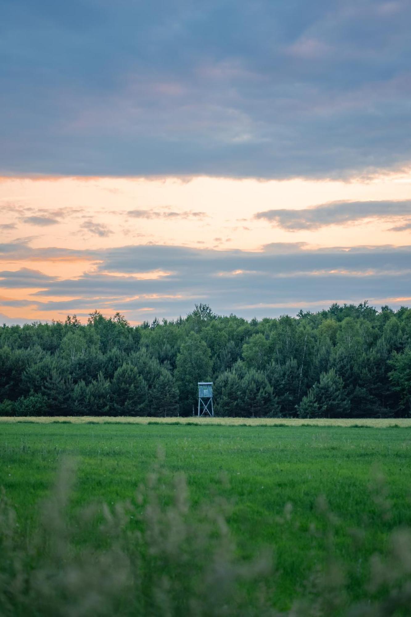 Dworek Ogrodniki, Caloroczny Dom Na Wylacznosc, Basen, Sauna, Las, Staw Rybny, Altana Grillowa, Ognisko, Pianino, Kominek, Piec Chlebowy, Duza Ogrodzona Posesja Tuczna Esterno foto